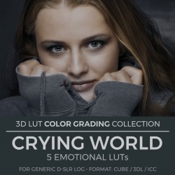 Crying World LUT