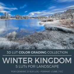 Winter Landscape LUT