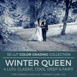 Winter Queen LUT