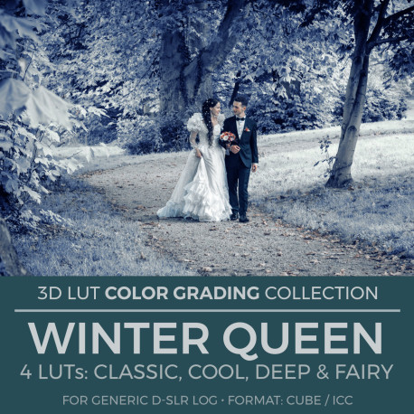 Winter Queen LUT