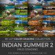 Indian Summer 2 LUT
