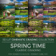Spring Time LUT