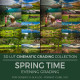Spring Time LUT