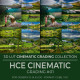 Cinematic Landscape LUT