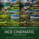 Cinematic Landscape LUT