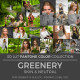 2017 Greenery LUT