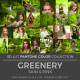 2017 Greenery LUT