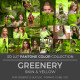 2017 Greenery LUT