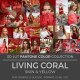 2019 Living Coral LUT
