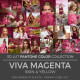 2023 Viva Magenta LUT