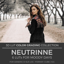 Neutrinne LUT