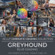 Greyhound LUT
