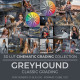 Greyhound LUT