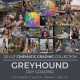Greyhound LUT