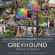 Greyhound LUT