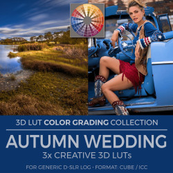 Autumn Wedding LUT