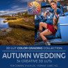 Autumn Wedding LUT
