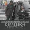 Depression LUT