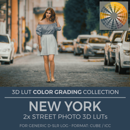 New York LUT