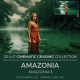 Amazonia LUT