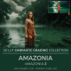 Amazonia LUT