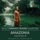 Amazonia LUT