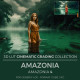 Amazonia LUT