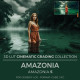 Amazonia LUT