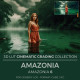 Amazonia LUT