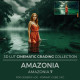Amazonia LUT