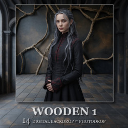DGB Wooden 1