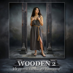 DGB Wooden 2
