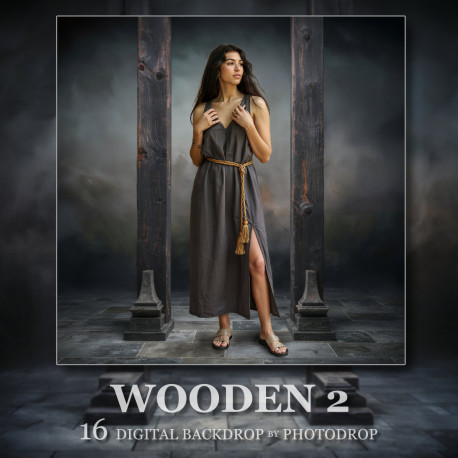 DGB Wooden 2