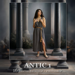 DGB Antic 1