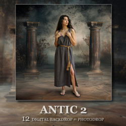 DGB Antic 2