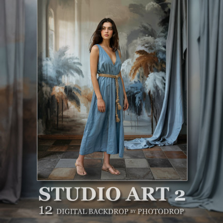DGB Studio Art2
