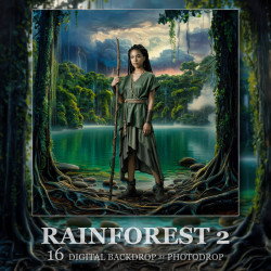 DGB Rainforest 2