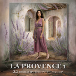 DGB La Provence 1