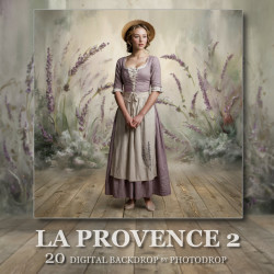 DGB La Provence 2
