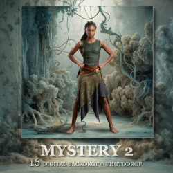 DGB Mystery 2