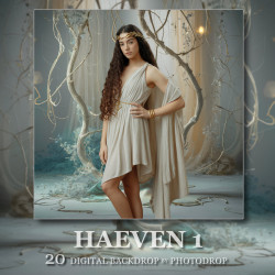 DGB Haeven 1