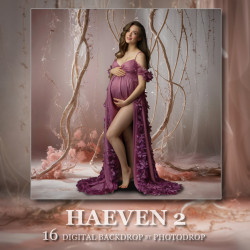 DGB Haeven 2