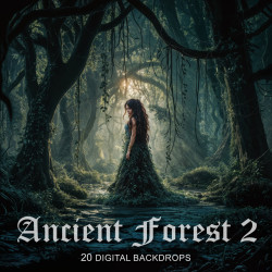 DGB Ancient Forest 3