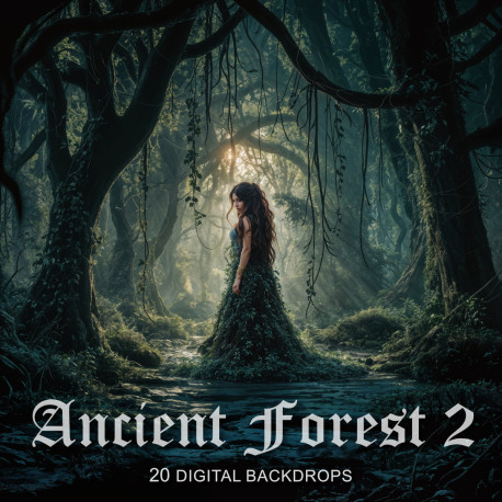DGB Ancient Forest 3