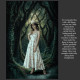 DGB Ancient Forest 3