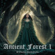 DGB Ancient Forest 1