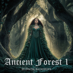DGB Ancient Forest 1