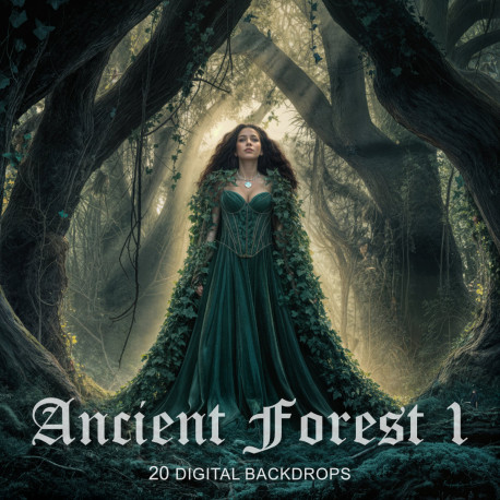 DGB Ancient Forest 1