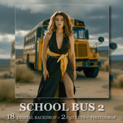 DGB School Bus 2