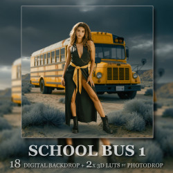 DGB School Bus 1